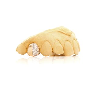 Half Plain and Half Pavé Grillz