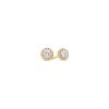Securus Diamond Earrings – product view