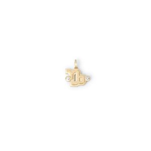 Capricorn Pendant