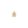Leo Pendant – product view