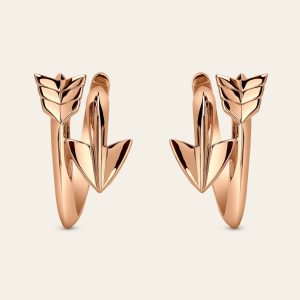 Super Arrow Earrings