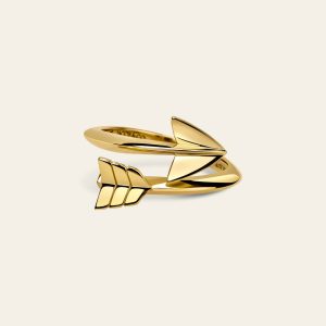 Super Arrow Ring – product view