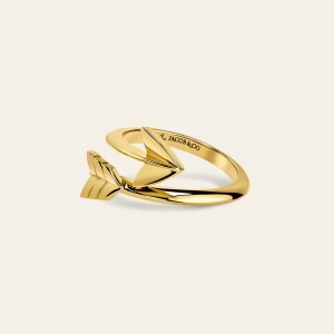 Super Arrow Ring – product view