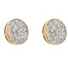 0.33CT Diamond Earrings – product view