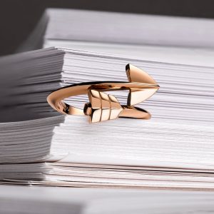 Super Arrow Ring – product view