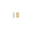 Pico Hanging Cluster Hoop Earrings – product view