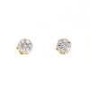 JDTK-F81638- Cluster/Flower 0.50cttw Diamond Earrings – Pair – product view
