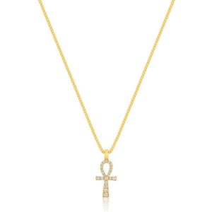 Nano Harvey Ankh