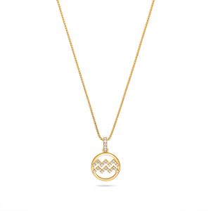 Nano Zodiac Necklace (Aquarius)